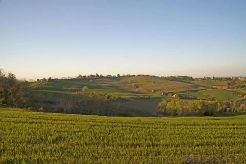 Vineyard Stock Photos