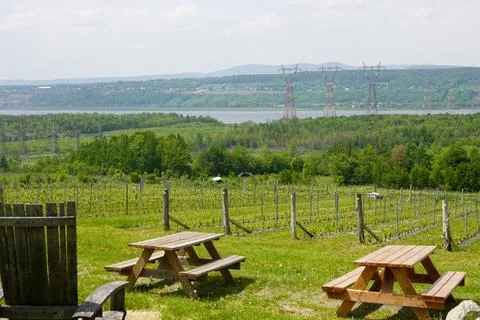 Vineyard Picnic Grounds Stock Photos