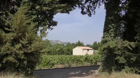 Vineyard Provence landscape mountains 290817 Stock Footage 80759534