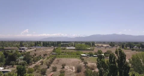 Vineyard reveal Stock Footage 274364145