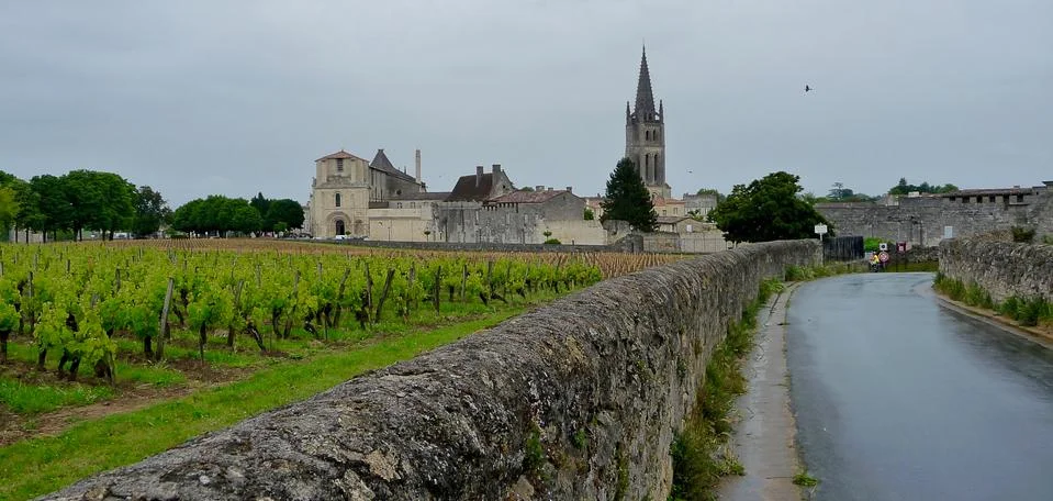 Vineyard road to St.Emilion Foto stock