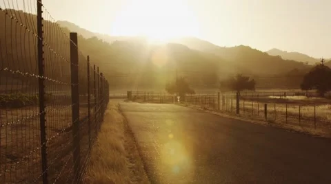 Vineyard road at sunset pan upwards Stock Footage 44447461