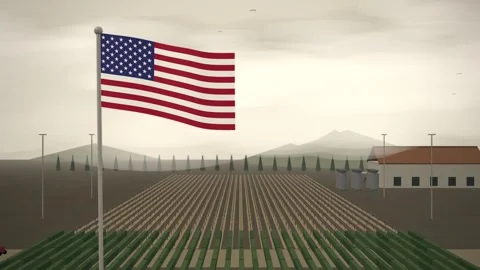 Vineyard Rows And Winery United States Flag seamless loop Stock Footage 344778941