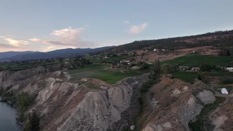 Vineyard with rows of wine grapes growing at sunset, Okanagan Valley, aerial Stock Footage 209467345