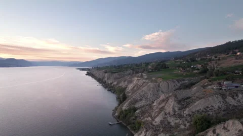 Vineyard with rows of wine grapes growing at sunset, Okanagan Valley, aerial Vídeos de archivo 209469873