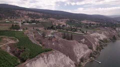 Vineyard with rows of wine grapes growing, Okanagan Valley, aerial drone footage Stock Footage 209692330