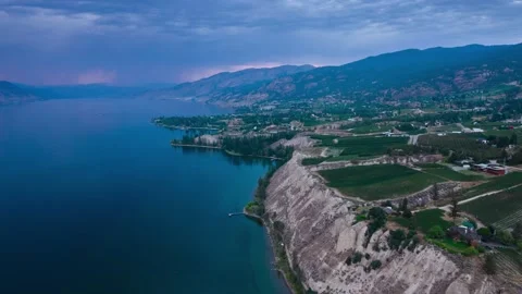 Vineyard with rows of wine grapes hyper lapse with storm background, Okanagan Stock Footage 209796123