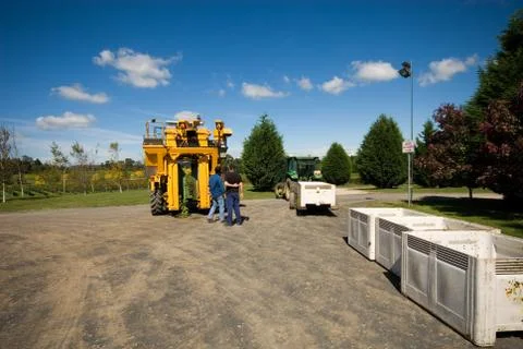 Vineyard scene Stock Photos