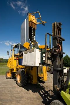 Vineyard Scene Stock Photos