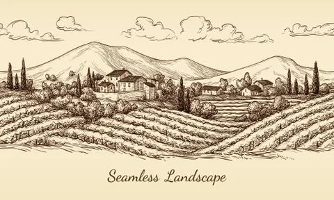 Vineyard seamless landscape. Stock Illustration