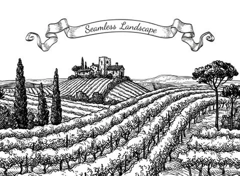 Vineyard seamless landscape. Stock Illustration