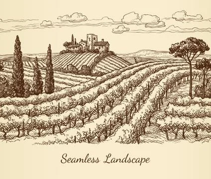 Vineyard seamless landscape. Stock Illustration