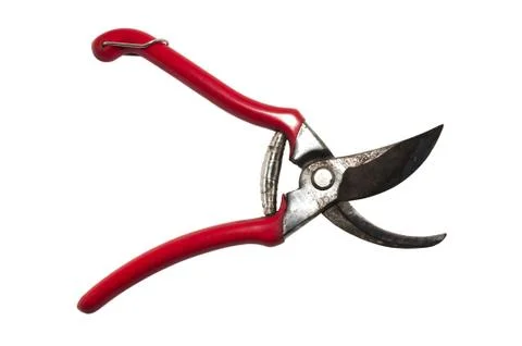 Vineyard shears Stock Photos
