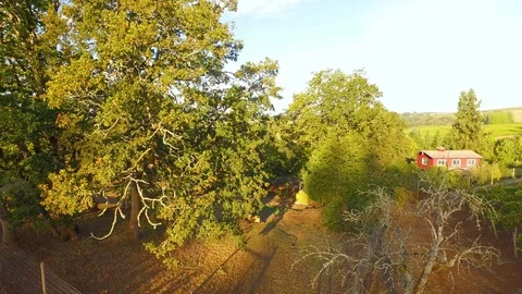 Vineyard on slopes spread in acres Stock Footage 87812374