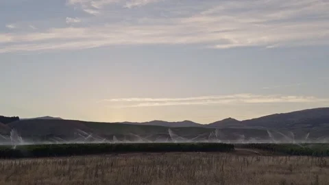 Vineyard sprinkler system in operation to avoid frost, Central Otago, New Stock Footage 342000126