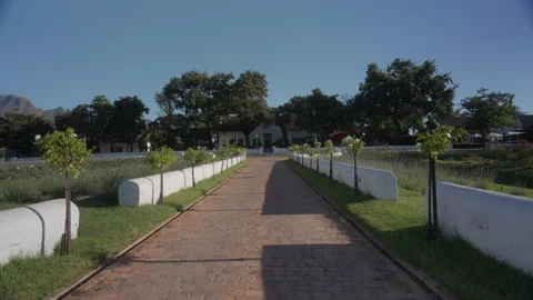 Vineyard in Stellenbosch at Sunset | Rec. 709 Stock Footage 308462782