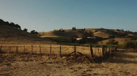 Vineyard at sunset Stock Footage 44447420