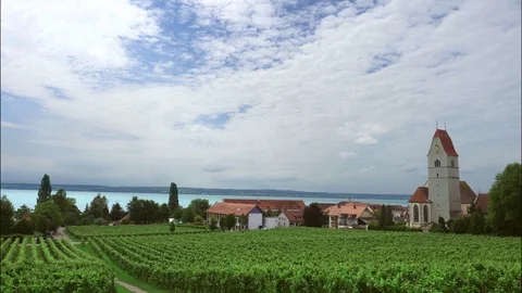 Vineyard Timelapse 库存影片 85797395