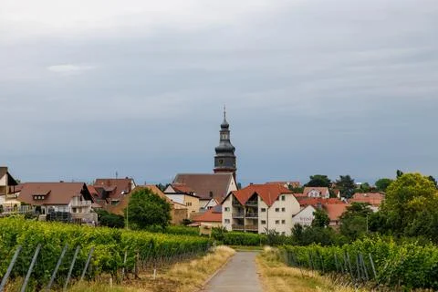 Vineyard Townscape Stock Photos