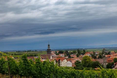 Vineyard Townscape Stock Photos