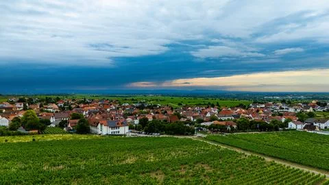 Vineyard Townscape Stock Photos