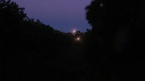 Vineyard tractor working at dusk in grape fields for efficient farming Stock Footage 321366263