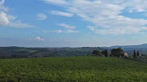 Vineyard in Tuscany #21 Stock Footage 162167418