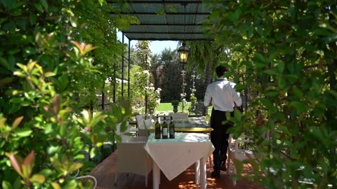 Vineyard in Tuscany Vídeo Stock 197630758