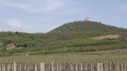 Vineyard under the hill tower Stock-Footage 80868298