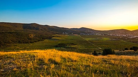 Vineyard valley between hills Video stock 96270105