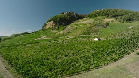 Vineyard view of Chateau Chalon perched village on a rocky cliff, Jura, Franc Stock Footage 341881878