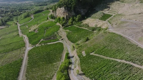 Vineyard view of Chateau Chalon perched village on a rocky cliff, Jura, Franc Stock Footage 341881980