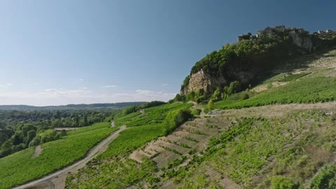 Vineyard view of Chateau Chalon perched village on a rocky cliff, Jura, Franc Stock Footage 341882004