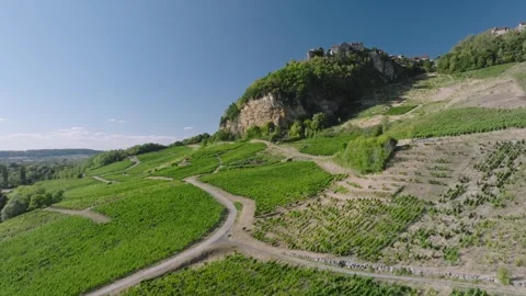 Vineyard view of Chateau Chalon perched village on a rocky cliff, Jura, Franc Stock Footage 341882043