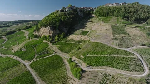 Vineyard view of Chateau Chalon perched village on a rocky cliff, Jura, Franc Stock Footage 341882055