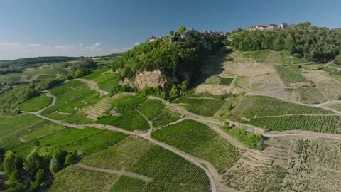 Vineyard view of Chateau Chalon perched village on a rocky cliff, Jura, Franc Stock Footage 341882075