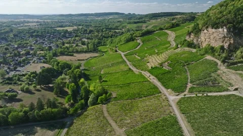 Vineyard view of Chateau Chalon perched village on a rocky cliff, Jura, Franc Stock Footage 341882084