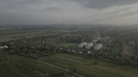 Vineyard view on a city Stock Footage 268893188