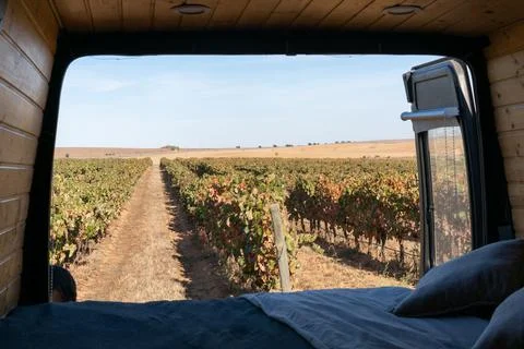 Vineyard view from inside a sel converted camper van living van life in Alent Stock Photos