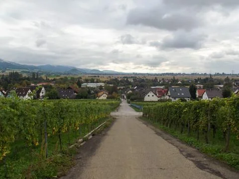 Vineyard View Overlooking a Small Town Stock Photos