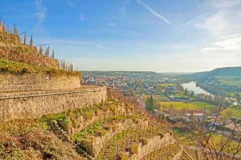 Vineyard view Stock Photos