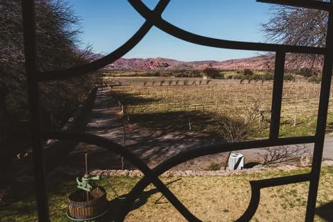 Vineyard View Through Decorative Window Frame Stock-Fotos