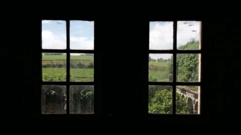 Vineyard view through a window. Stock Footage 63372423