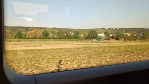 Vineyard view from a train's window. Stock Footage 290029251