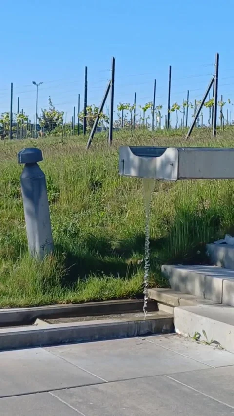 Vineyard Water Flow Urban Thirst Quencher Green Park Fountain Stock Footage 307797206
