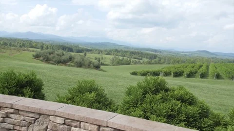 Vineyard with wedding area Stock Footage 84979486