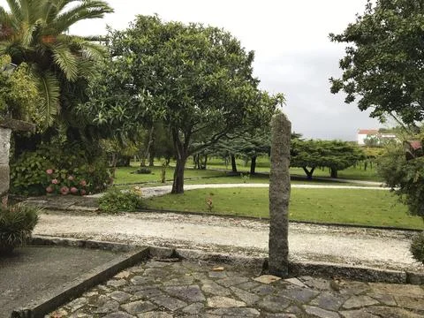 Vineyard whose grapes are used to make wine Stock Photos