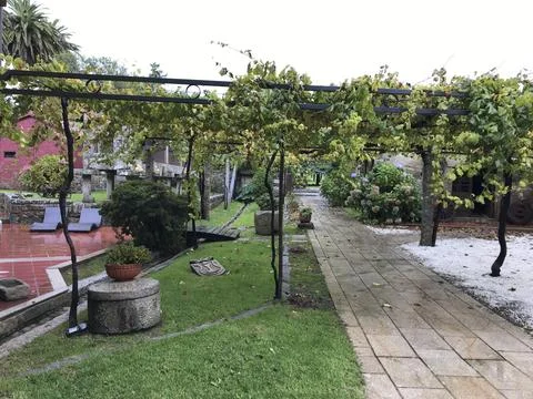 Vineyard whose grapes are used to make wine Stock Photos