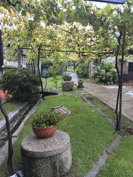 Vineyard whose grapes are used to make wine Stock Photos