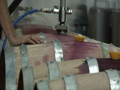 Vineyard Winery barrells 库存影片 10685257